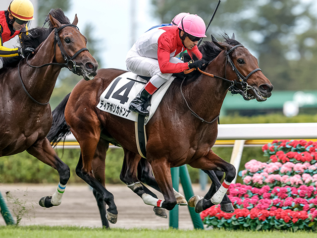 3歳未勝利 結果・払戻 | 2025年7月27日 新潟10R レース情報(JRA
