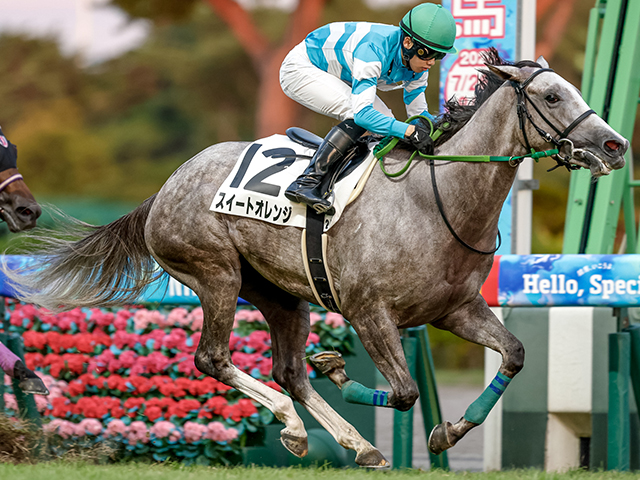 現地購入的中単勝馬券【3歳未勝利（初勝利）】デルタブルース 現地購入的中単勝馬券【3歳未勝利（初勝利）】デルタブルース