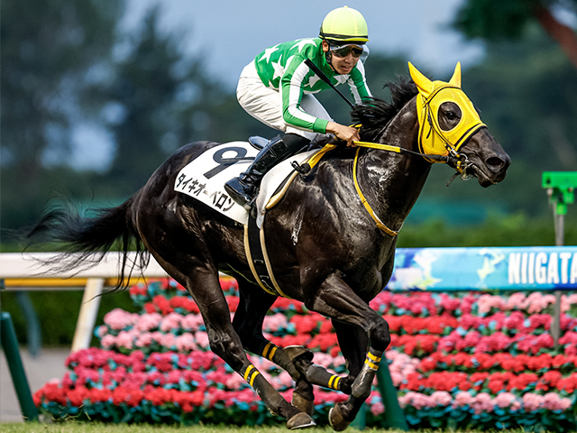 現地購入的中単勝馬券【3歳未勝利（初勝利）】デルタブルース 現地購入的中単勝馬券【3歳未勝利（初勝利）】デルタブルース