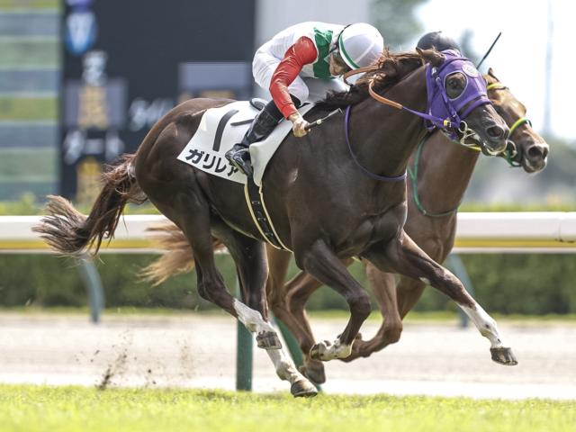 激レア　競馬大勝負 マルミ株式会社 280円 激レア 競馬大勝負 マルミ株式会社 280円
