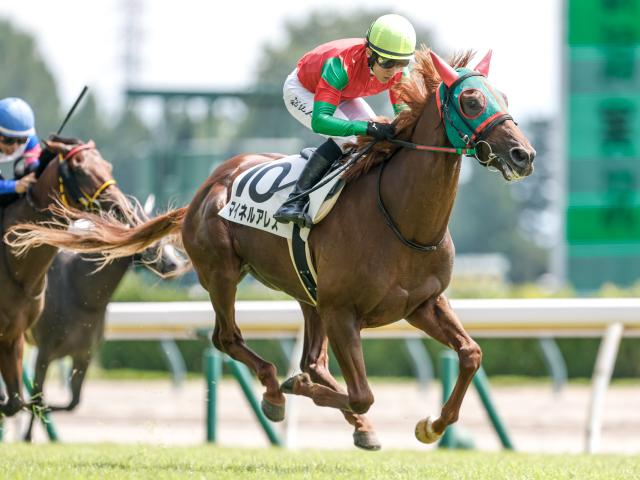 3歳未勝利 結果・払戻 | 2025年8月24日 新潟3R レース情報(JRA