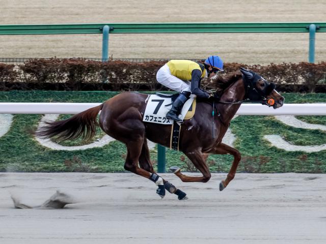 【期限切れ単勝馬券】第45回有馬記念　2000/12/24 全出走馬セット テイエムオペラオー【有馬記念2000】 - YouTube