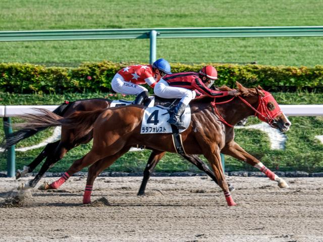 競馬 単勝馬券 No.2 競馬メーンレースの勝ち馬は最終レースでわかる入手困難品