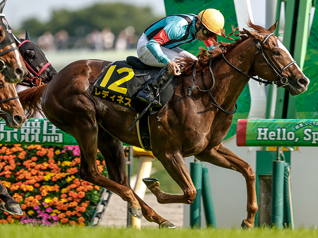 プリンシパルS(L) 結果・払戻 | 2025年5月4日 東京11R レース