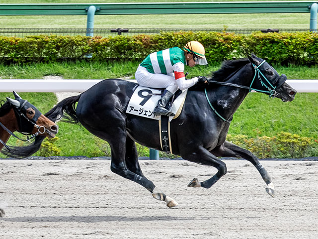 4歳以上1勝クラス 結果・払戻 | 2025年5月11日 東京8R レース