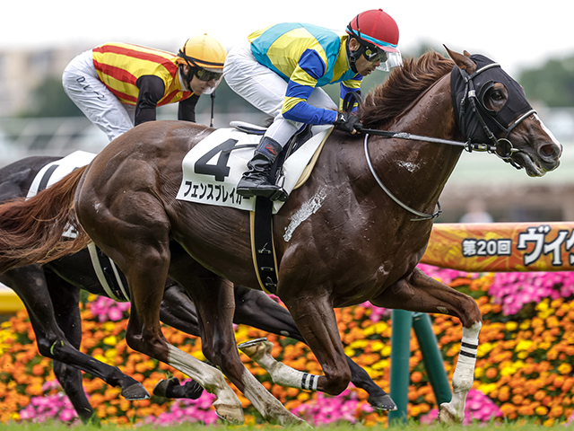 JRA　競馬　馬写真（額入り）　満花 753本の桜が満開に！？ #JRA #阪神競馬場 #桜 #満開 #阪急沿線