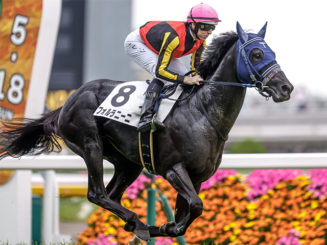 4歳以上1勝クラス 結果・払戻 | 2025年5月18日 東京8R レース