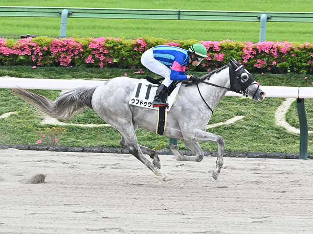 現地購入的中単勝馬券【3歳未勝利（デビュー2戦目/初勝利）】エアシャカール 競馬】 驚き！ 3歳未勝利 (2025.06.28・函館4R) 2025