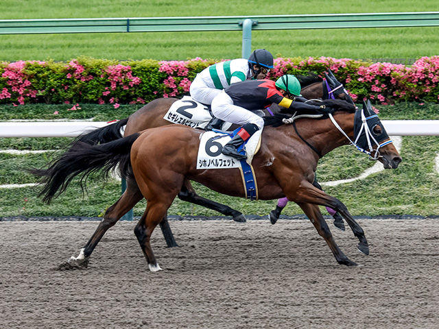 ハーツクライ　現地単勝馬券　新馬競走　2004/1/5　京都4レース ハーツクライ 現地単勝馬券 新馬競走 2004/1/5 京都4レース 2025