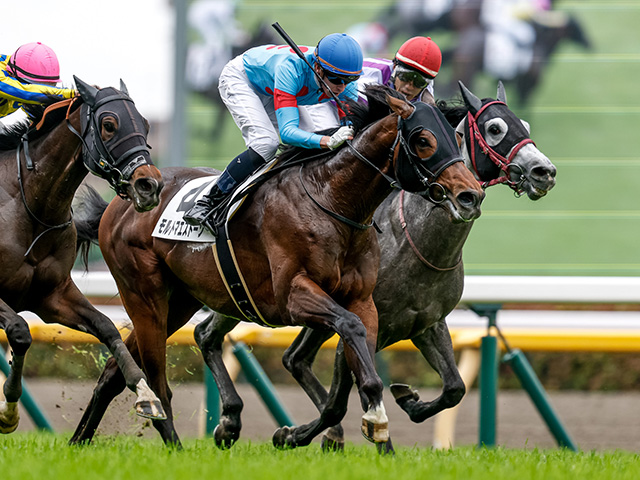 ハーツクライ　現地単勝馬券　新馬競走　2004/1/5　京都4レース 2025年最新】終了したレースの単勝馬券をお探しならここ！過去の