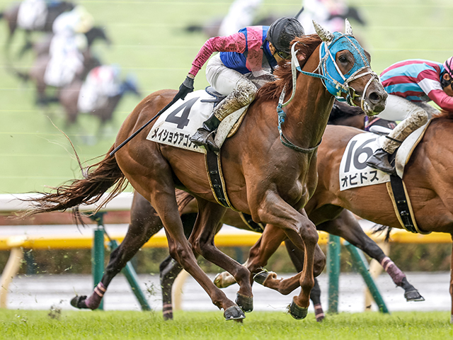 現地購入的中単勝馬券【3歳未勝利（初勝利）】デルタブルース 現地購入的中単勝馬券【3歳未勝利（初勝利）】デルタブルース