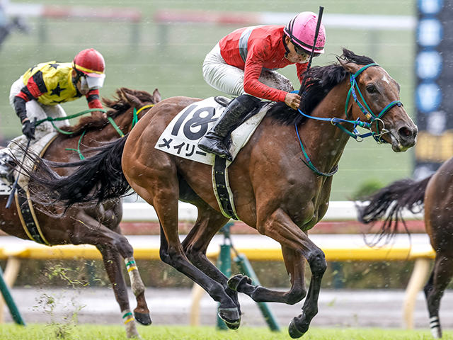 3歳未勝利 結果・払戻 | 2025年5月31日 東京3R レース情報(JRA
