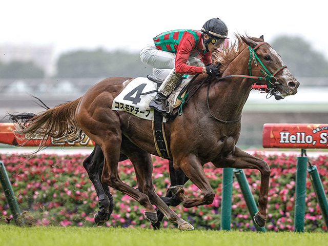 現地購入的中単勝馬券【3歳未勝利（初勝利）】デルタブルース 現地購入的中単勝馬券【3歳未勝利（初勝利）】デルタブルース