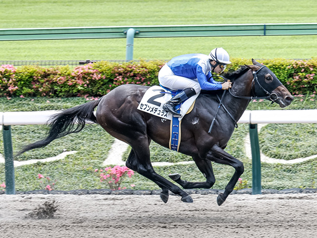 【期限切れ単複馬券】　2歳未勝利　2014/11/8 ドゥラメンテ　ウマ娘 2025 2-year-old horses to watch] Appear again this year! Two