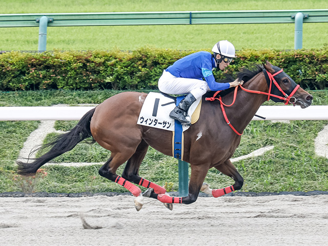 現地購入的中単勝馬券【3歳未勝利（初勝利）】デルタブルース 現地購入的中単勝馬券【3歳未勝利（初勝利）】デルタブルース