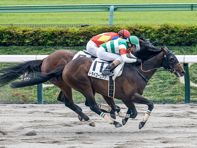 3歳未勝利 結果・払戻 | 2025年6月8日 東京2R レース情報(JRA