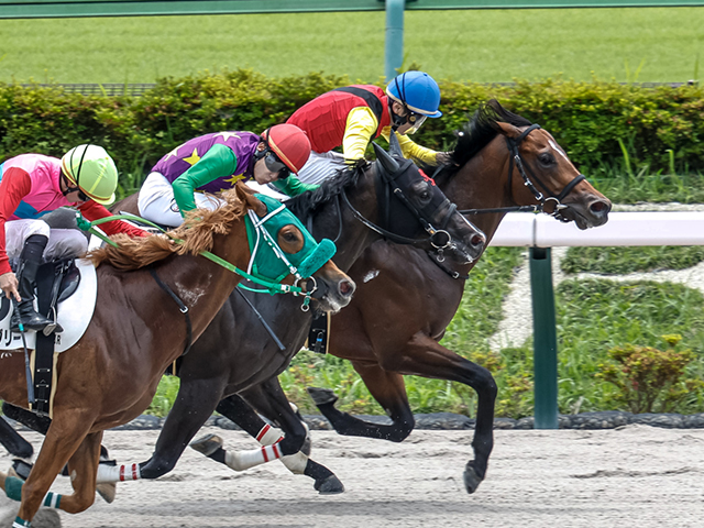 現地購入的中単勝馬券【3歳未勝利（初勝利）】デルタブルース 現地購入的中単勝馬券【3歳未勝利（初勝利）】デルタブルース