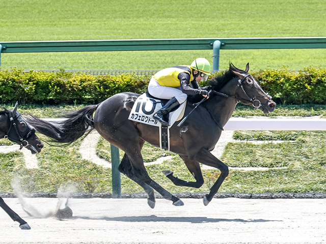 現地購入的中単勝馬券【3歳未勝利（初勝利）】デルタブルース 現地購入的中単勝馬券【3歳未勝利（初勝利）】デルタブルース