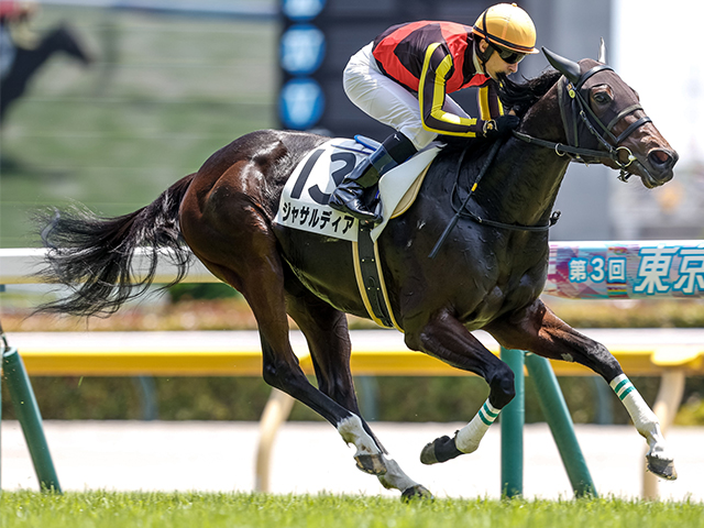 【期限切れ単複馬券】　2歳未勝利　2014/11/8 ドゥラメンテ　ウマ娘 期限切れ単勝馬券】 2歳未勝利 2014/11/8 ドゥラメンテ ウマ娘