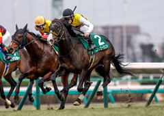 京成杯2025特集 | netkeiba 競馬予想・結果・速報・オッズ・出馬