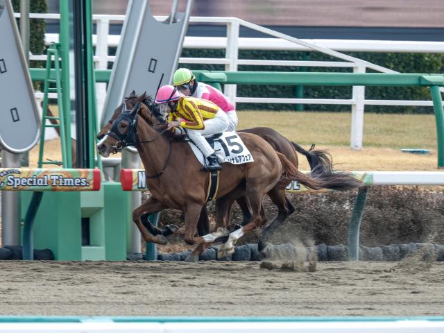【期限切れ単勝馬券】　3歳新馬　ノーリーズン　ウマ娘 期限切れ単勝馬券】 3歳新馬 ノーリーズン ウマ娘
