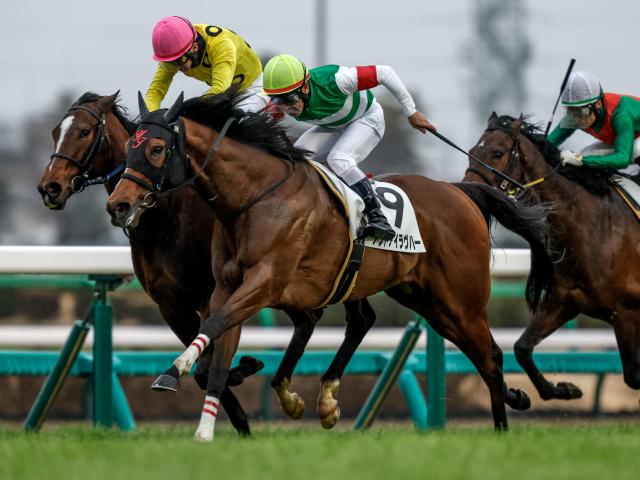 4歳以上1勝クラス 結果・払戻 | 2025年3月8日 中山12R レース 4歳以上1勝クラス 結果・払戻 | 2025年3月8日 中山12R レース