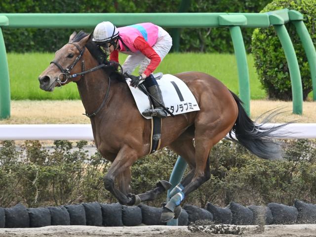 競馬最終レースの法則 中山雲水の虎の巻 中山雲水 競馬最終レースの法則 競馬最終レースの法則 中山雲水
