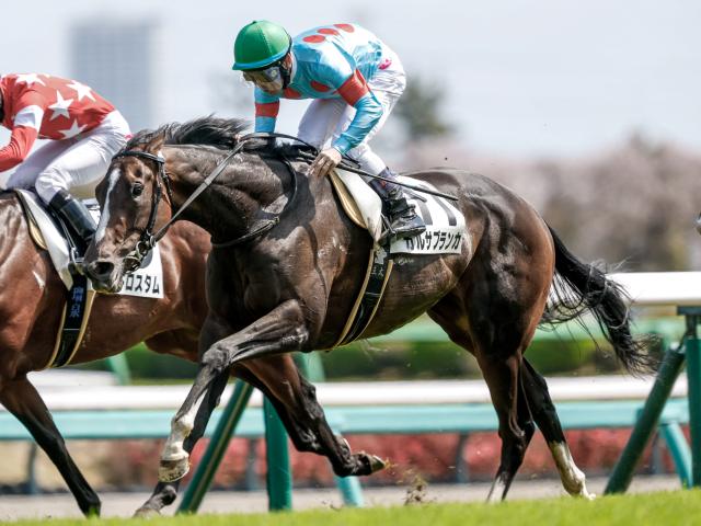 4歳以上1勝クラス 結果・払戻 | 2025年4月12日 中山7R レース 4歳以上1勝クラス 結果・払戻 | 2025年4月12日 中山7R レース