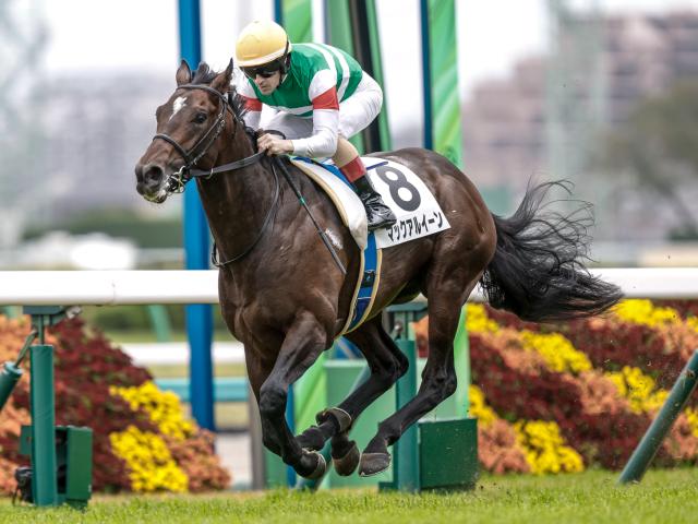 『デュランダル』単勝馬券（Ｇ１出走レース５枚セット） デュランダル』単勝馬券（G1出走レース5枚セット）