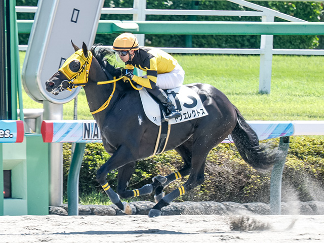 現地購入的中単勝馬券【3歳未勝利（デビュー2戦目/初勝利）】エアシャカール 202102250027-