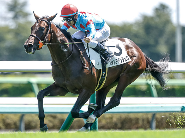 【期限切れ単勝馬券】　サラ系2歳新馬　デュランダル　ウマ娘 期限切れ単勝馬券】 サラ系2歳新馬 デュランダル ウマ娘 バス