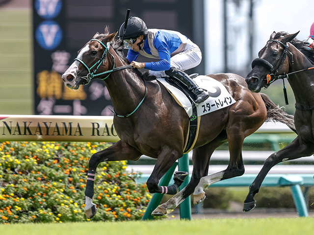 2歳新馬 結果・払戻 | 2025年9月13日 中山5R レース情報(JRA