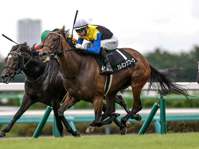 Mディープインパクト(2勝クラス) 結果・払戻 | 2025年9月15日