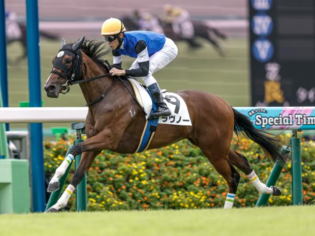 2歳新馬 結果・払戻 | 2025年9月20日 中山4R レース情報(JRA