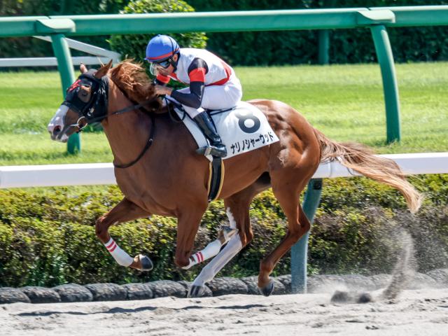 2歳新馬 結果・払戻 | 2025年9月21日 中山4R レース情報(JRA