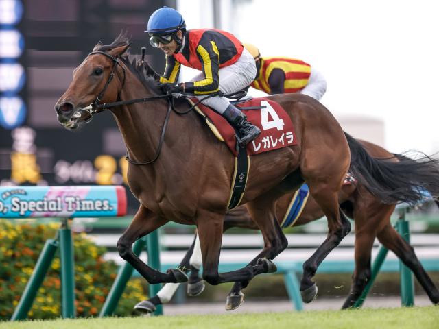 オールカマー(G2) 結果・払戻 | 2025年9月21日 中山11R レース