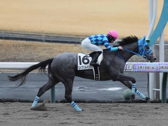 3歳未勝利 結果・払戻 | 2025年3月16日 中京1R レース情報(JRA