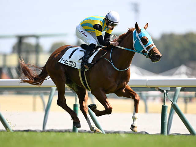 3歳未勝利 結果・払戻 | 2025年3月22日 中京5R レース情報(JRA 3歳未勝利 結果・払戻 | 2025年3月22日 中京5R レース情報(JRA