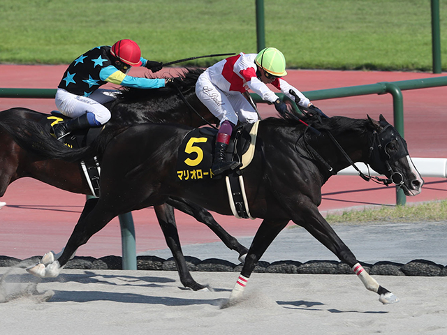 【現地・単勝】ナリタブライアン 京都新聞杯2着 競馬】なぜナリタブライアンはスターマンに負けたのか【1994年