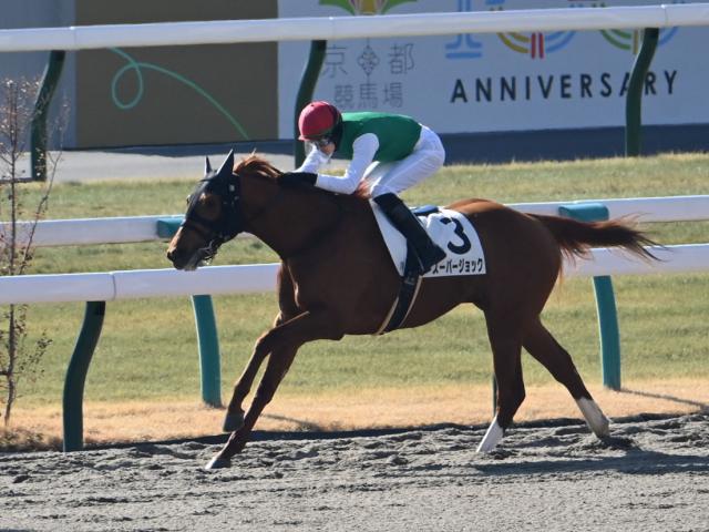 現地購入的中単勝馬券【3歳未勝利（初勝利）】デルタブルース 現地購入的中単勝馬券【3歳未勝利（初勝利）】デルタブルース 2025年