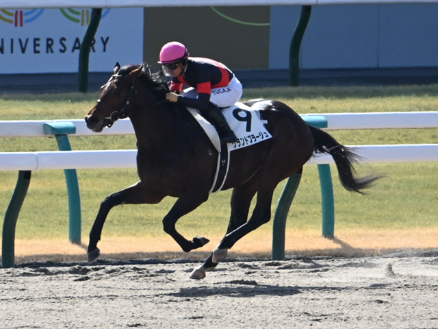 3歳1勝クラス 結果・払戻 | 2025年2月9日 京都4R レース情報