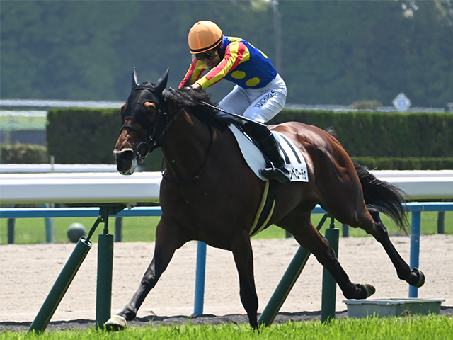 XyW6688○福島 会津競馬場実況 その5 最後の優勝馬 ダテハツセ
