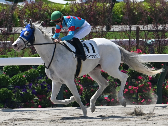 3歳未勝利 結果・払戻 | 2025年4月27日 京都2R レース情報(JRA