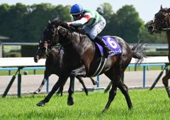 へデントール　メイクデビュー東京　現地単勝馬券　天皇賞・春制覇 2025年 天皇賞（春）（GⅠ） | ヘデントール | JRA公式 - YouTube
