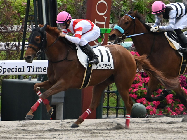 3歳1勝クラス 結果・払戻 | 2025年5月11日 京都6R レース情報