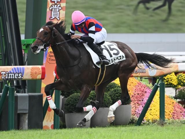 【期限切れ単勝馬券】　2歳新馬　ゴールドアリュール 期限切れ単勝馬券】 2歳新馬 ゴールドアリュール