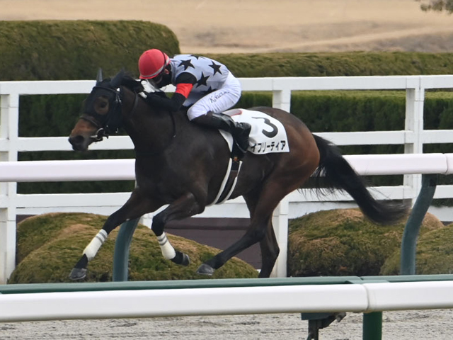 3歳未勝利 結果・払戻 | 2025年3月1日 阪神1R レース情報(JRA
