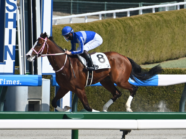 3歳未勝利 結果・払戻 | 2025年3月1日 阪神4R レース情報(JRA 3歳未勝利 結果・払戻 | 2025年3月1日 阪神4R レース情報(JRA