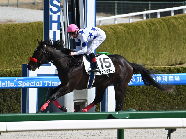 3歳未勝利 結果・払戻 | 2025年3月9日 阪神2R レース情報(JRA