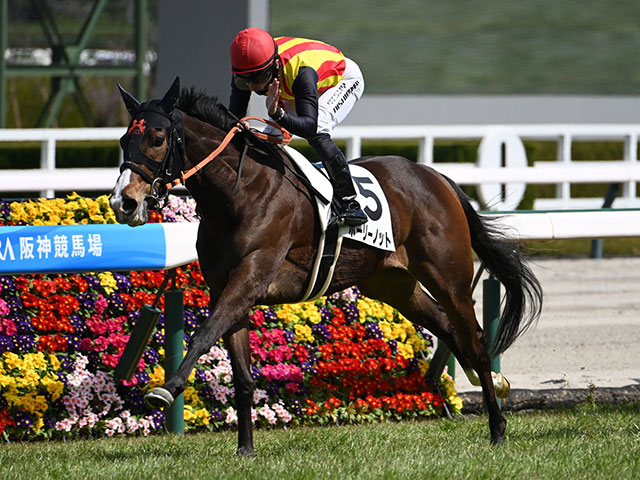 3歳未勝利 結果・払戻 | 2025年3月9日 阪神5R レース情報(JRA 3歳未勝利 結果・払戻 | 2025年3月9日 阪神5R レース情報(JRA